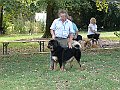 img 206
